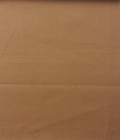 JS ZOYG 消光春亞紡格0.1*0.1 正面照